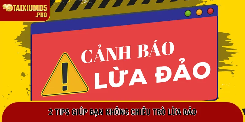 Tài Xỉu Bịp - Sự Thật Ít Cược Thủ Nào Biết Trong Cá Cược 3 2 tips giúp bạn không chiêu trò lừa đảo