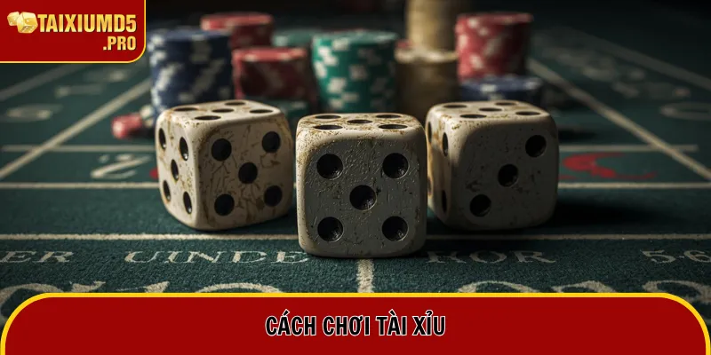 Cách Chơi Tài Xỉu - Tổng Hợp Luật Chơi Sicbo Chi Tiết 2 Cách Chơi Tài Xỉu - Tổng Hợp Luật Chơi Sicbo Chi Tiết