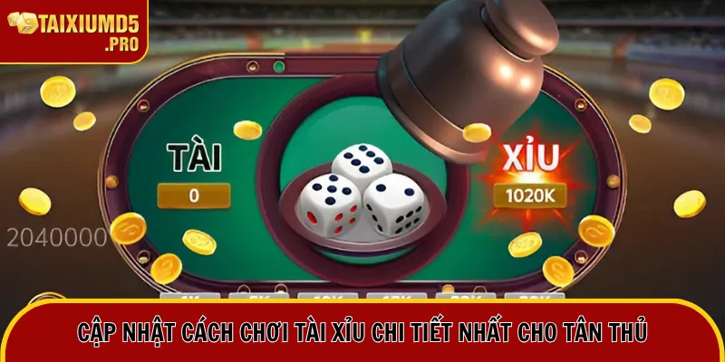 Cách Chơi Tài Xỉu - Tổng Hợp Luật Chơi Sicbo Chi Tiết 1 Cập nhật cách chơi tài xỉu chi tiết nhất cho tân thủ