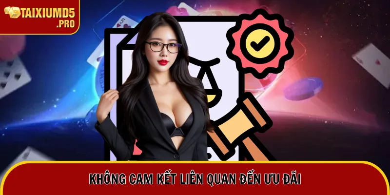 Miễn Trừ Trách Nhiệm 4 Không cam kết liên quan đến ưu đãi