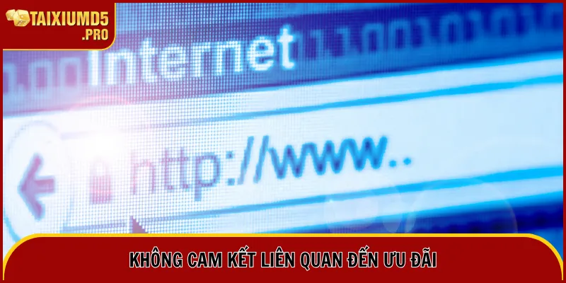 Miễn Trừ Trách Nhiệm 5 Không trách nhiệm trong tình huống internet yếu