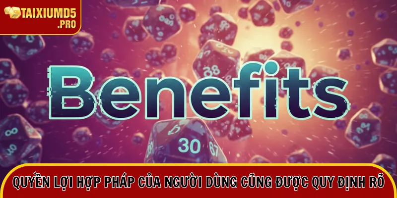 Điều Khoản & Điều Kiện 4 Quyền lợi hợp pháp của người dùng cũng được quy định rõ