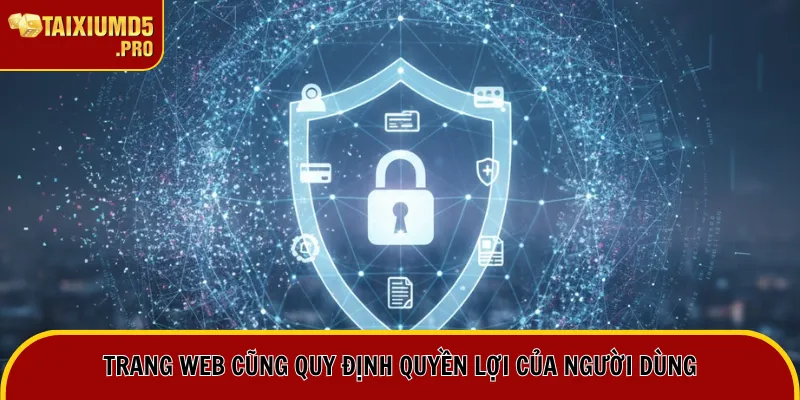Chính Sách Bảo Mật 3 Trang web cũng quy định quyền lợi của người dùng